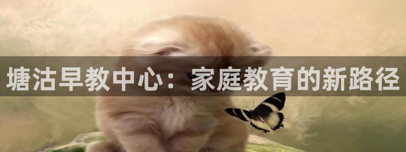 威九国际网站为什么不禁止：塘沽早教中心：家庭教育的新路径