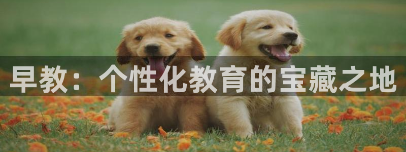 威九国际mb：早教：个性化教育的宝藏之地