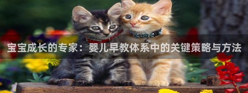 威九国际78mb42：宝宝成长的专家：婴儿早教体系中的关键策略与方法