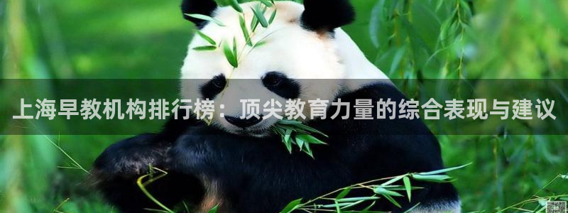 威九国际免费ppt网址：上海早教机构排行榜：顶尖教育力量的综合表现与建议