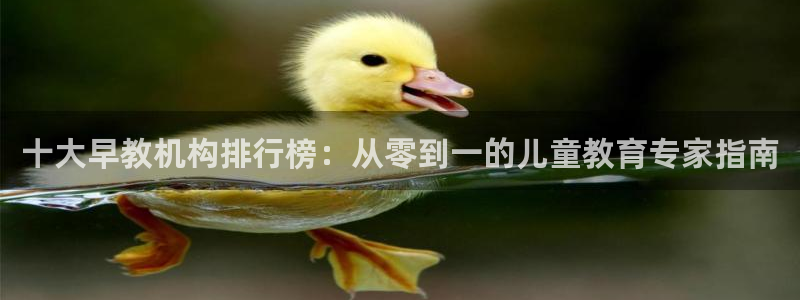 威九国际电视：十大早教机构排行榜：从零到一的儿童教育专家指南