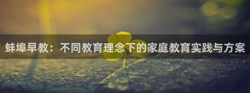 威九国际78mob网页：蚌埠早教：不同教育理念下的家庭教育实践与方案
