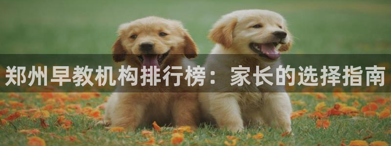 威九国际网站客服电话多少号码：郑州早教机构排行榜：家长的选择指南