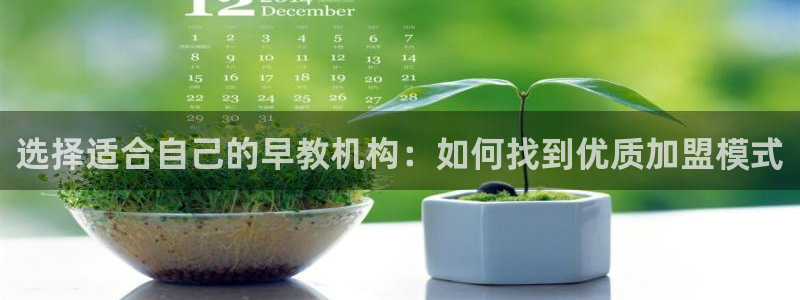 威九国际游戏入口：选择适合自己的早教机构：如何找到优质加盟模式