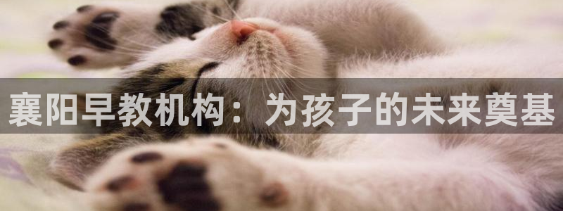 威九国际小广告：襄阳早教机构：为孩子的未来奠基
