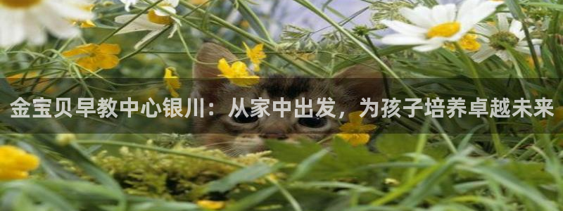 威九国际v96 bet会黑吗:金宝贝早教中心银川:从家中出发,为孩子培养卓越未来