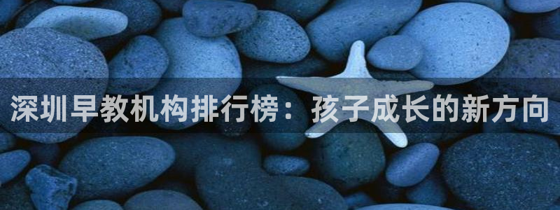威九国际网站链接怎么打开：深圳早教机构排行榜：孩子成长的新方向