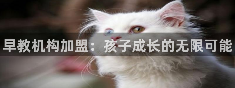 78mapp威九国际媒体:早教机构加盟:孩子成长的无限可能