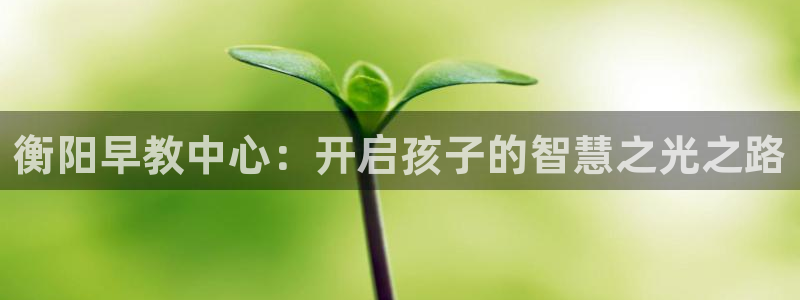 威九国际特殊奖励我的奖励竟然是嫂子：衡阳早教中心：开启孩子的智慧之光之路