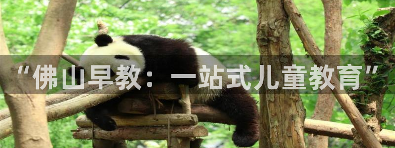 威九国际78mob官网版：“佛山早教：一站式儿童教育”