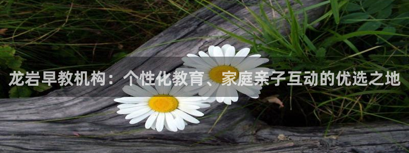 威九国际网站人入口：龙岩早教机构：个性化教育、家庭亲子互动的优选之地