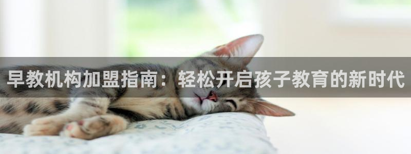 威九国际女儿的朋友：早教机构加盟指南：轻松开启孩子教育的新时代