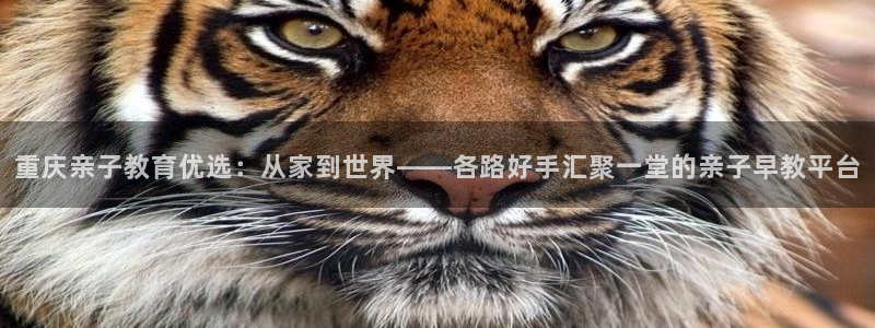 威九国际78mb官网：重庆亲子教育优选：从家到世界——各路好手汇聚一堂的亲子早教