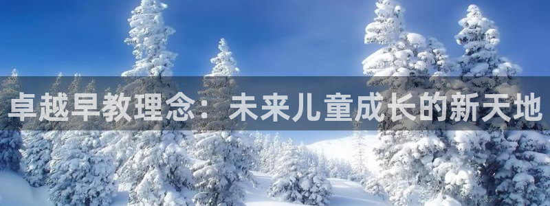 威九国际网站在哪里：卓越早教理念：未来儿童成长的新天地