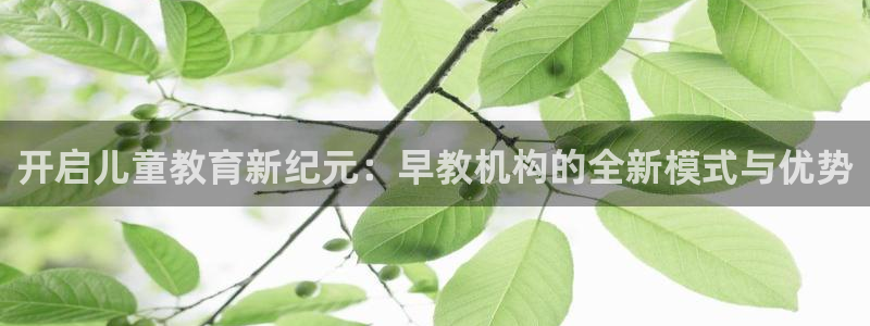 威九国际清砖码头在哪：开启儿童教育新纪元：早教机构的全新模式与优势