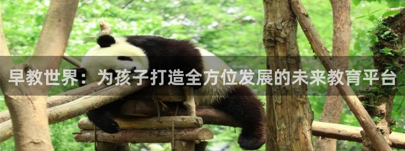 威九国际取款：早教世界：为孩子打造全方位发展的未来教育平台