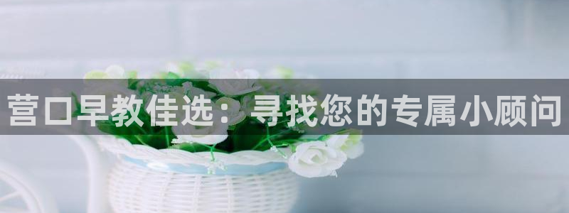 威九国际免费网络站：营口早教佳选：寻找您的专属小顾问