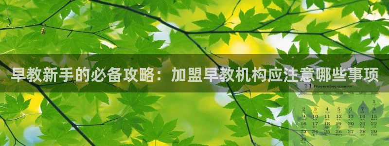 威九国际观看：早教新手的必备攻略：加盟早教机构应注意哪些事项