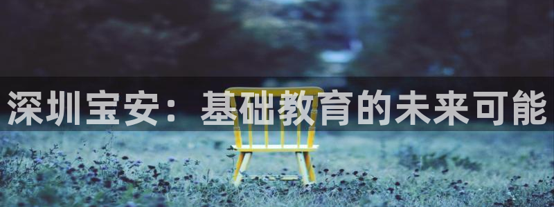 威九国际网站进入(中国)有限公司-官网：深圳宝安：基础教育的未来可能
