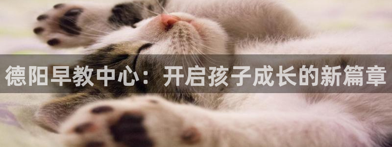 威九国际男演员：德阳早教中心：开启孩子成长的新篇章