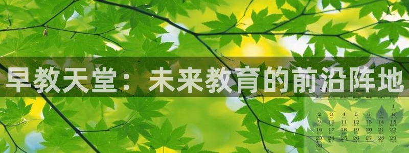 78mapp威九国际：早教天堂：未来教育的前沿阵地