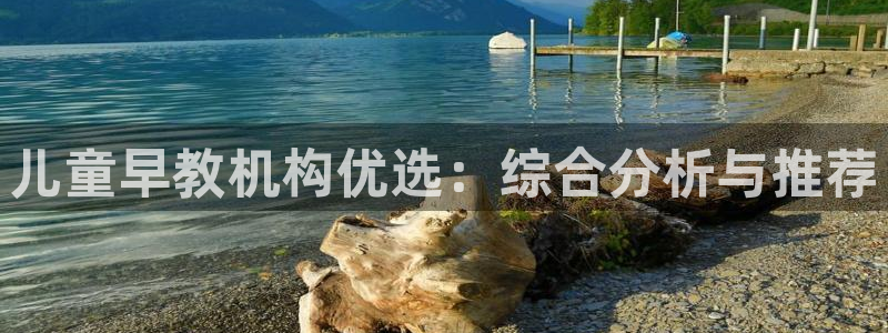 威九国际正规吗：儿童早教机构优选：综合分析与推荐