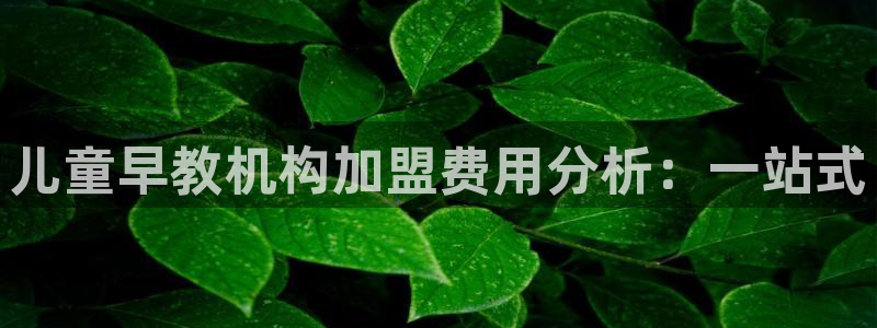 威九国际h5:儿童早教机构加盟费用分析:一站式