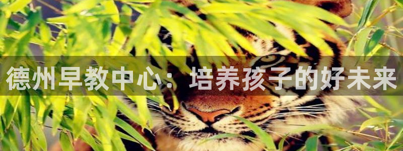 威九国际取款机怎么取:德州早教中心:培养孩子的好未来