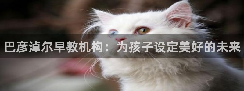 威九国际网站入口官网游戏推荐：巴彦淖尔早教机构：为孩子设定美好的未来