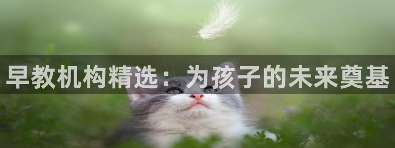 威九国际可以退钱吗怎么退的：早教机构精选：为孩子的未来奠基