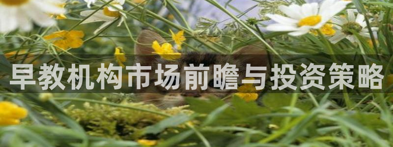 威九国际女神：早教机构市场前瞻与投资策略