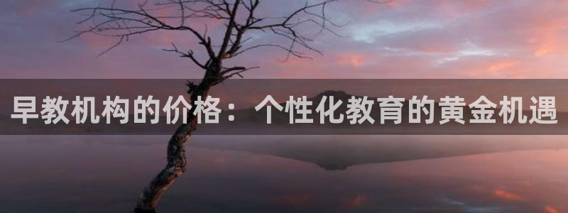 78mapp威九国际媒体央视：早教机构的价格：个性化教育的黄金机遇