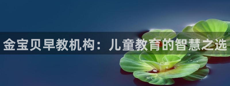 威九国际发布新版eBzxin2Tp：金宝贝早教机构：儿童教育的智慧之选