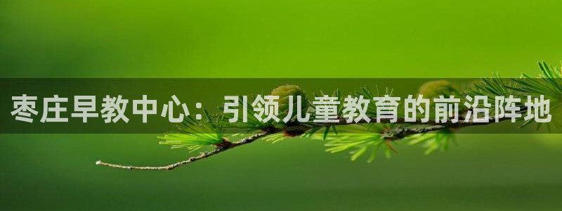 威九国际网站:枣庄早教中心:引领儿童教育的前沿阵地