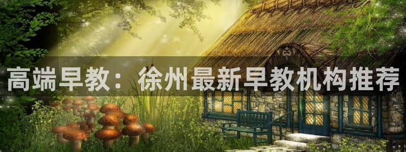 威九国际v18：高端早教：徐州最新早教机构推荐