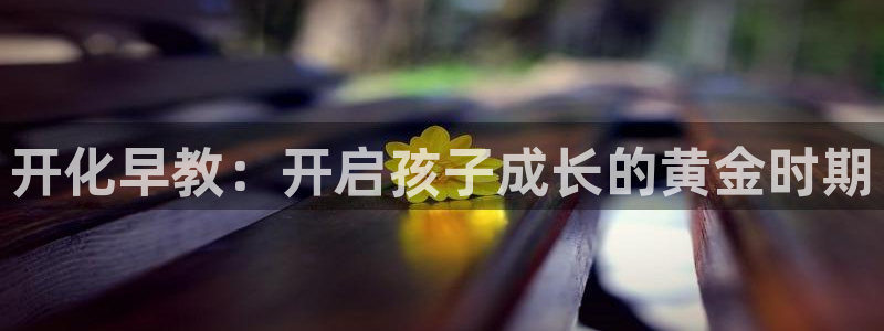 威九国际X8：开化早教：开启孩子成长的黄金时期