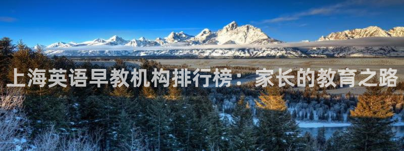 威九国际下载官网app:上海英语早教机构排行榜:家长的教育之路