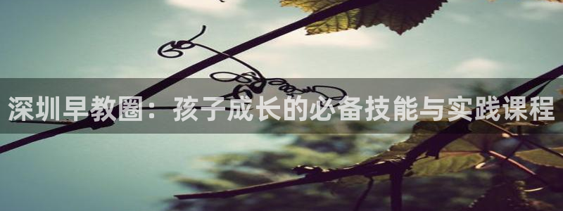 威九国际免费版：深圳早教圈：孩子成长的必备技能与实践课程