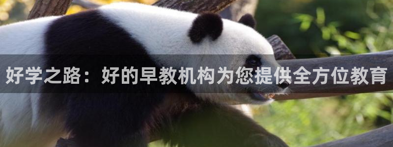 威九国际app客服电话：好学之路：好的早教机构为您提供全方位教育
