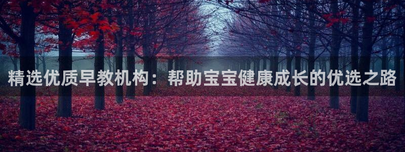 威九国际网站入口rdquo：精选优质早教机构：帮助宝宝健康成长的优选之路