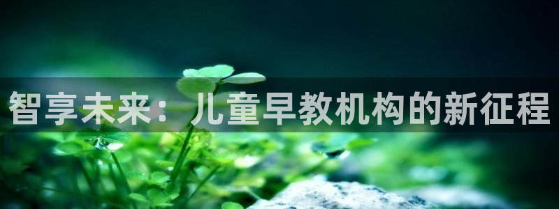 威九国际H：智享未来：儿童早教机构的新征程