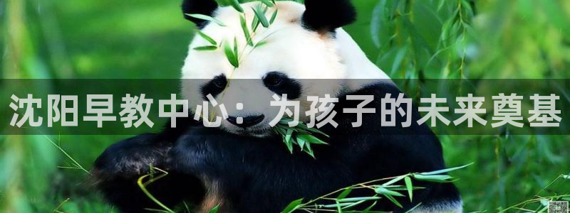 威九国际78ma：沈阳早教中心：为孩子的未来奠基