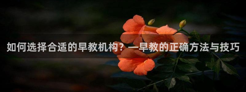 威九国际v96 bet会黑吗：如何选择合适的早教机构？—早教的正确方法与技巧