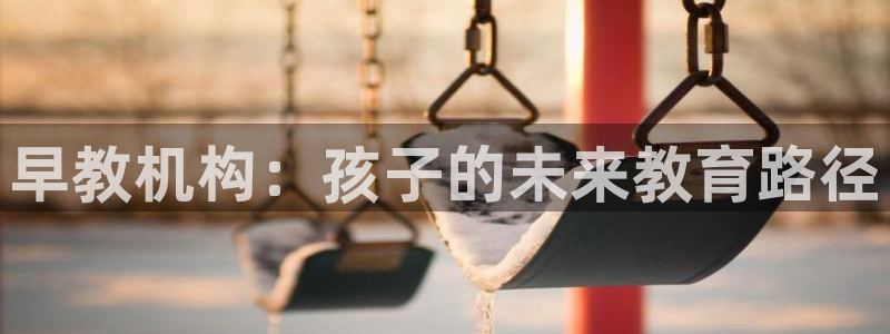 威九国际取款不会被骗吧吗：早教机构：孩子的未来教育路径