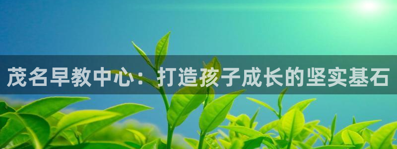 威九国际78mapp：茂名早教中心：打造孩子成长的坚实基石