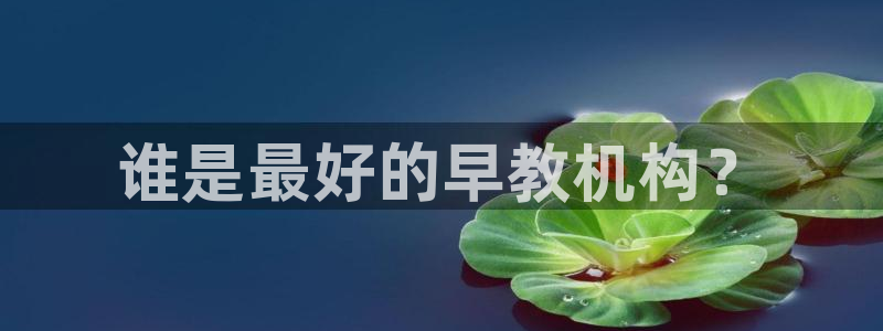 威九国际66m66m电影：谁是最好的早教机构？