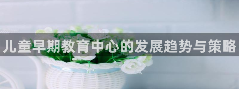 威九国际网站入口官网首页登录：儿童早期教育中心的发展趋势与策略