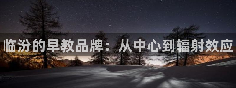 威九国际下载：临汾的早教品牌：从中心到辐射效应
