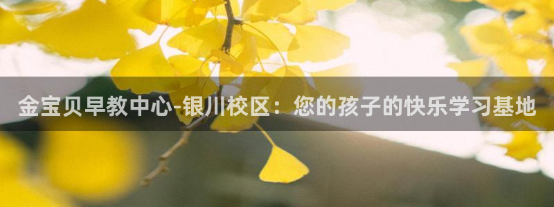 威九国际66m66m：金宝贝早教中心-银川校区：您的孩子的快乐学习基地