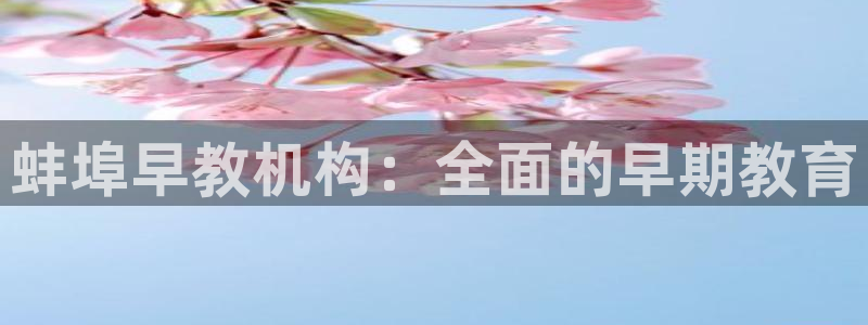 威九国际旗下艺人：蚌埠早教机构：全面的早期教育